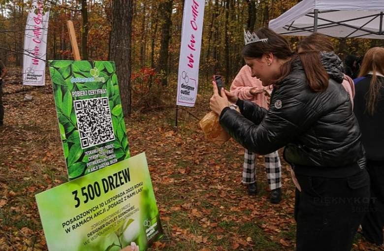 W Nadleśnictwie Kobiór rosną drzewa od Designer Outlet