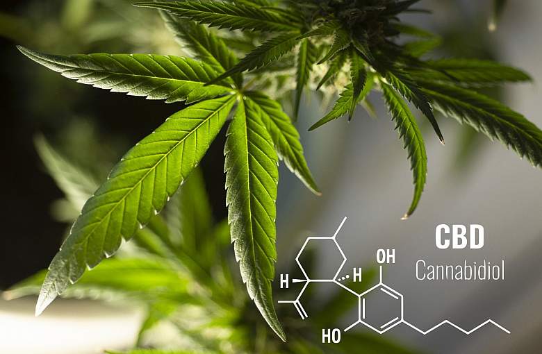 cbd5