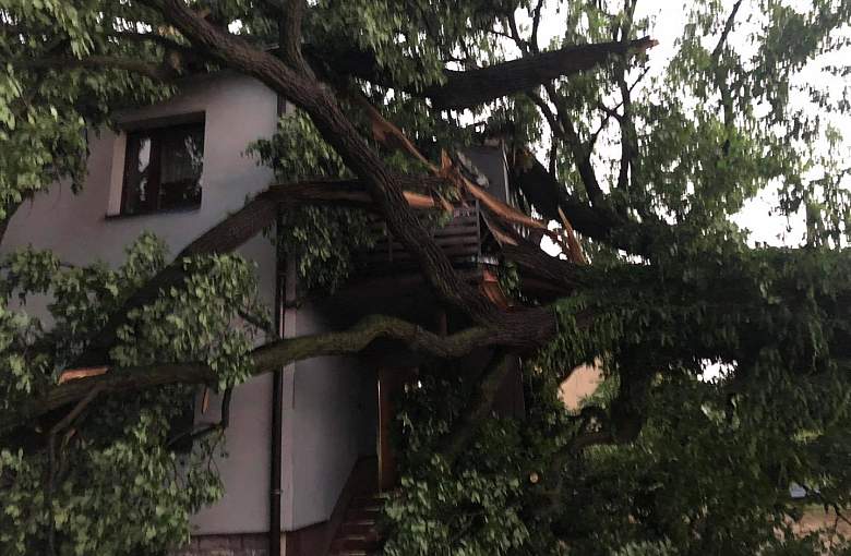 Strażacy w akcji. Silny wiatr łamał drzewa i zrywał dachy
