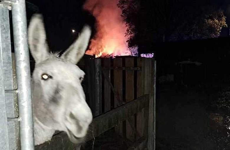 Pożar strawił całe zapasy słomy i siana