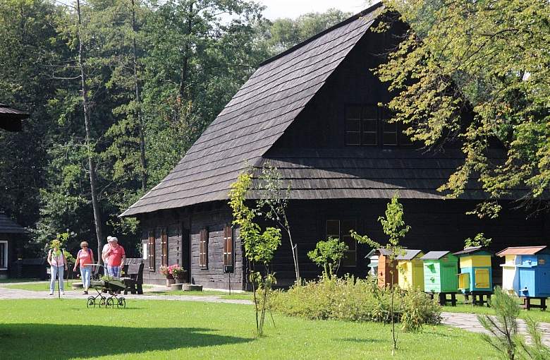 Zagroda Żubrów i miejskie muzea zamknięte