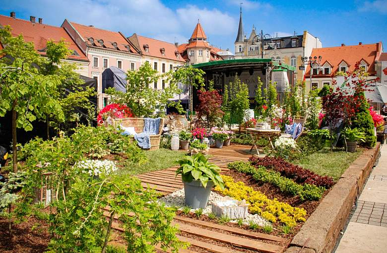 Pszczyński rynek znów zakwitnie - w weekend Ogrody Daisy!